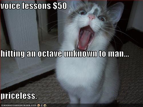 funny-pictures-cat-has-been-taking-voice